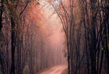 利比亚代表团在羽毛球比赛中缔造奇迹