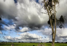 巴西球员转投墨西哥联赛，寻求新挑战