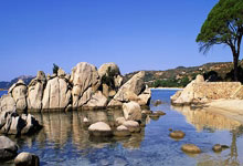 北京国安主场胜大连海象队，登顶积分榜