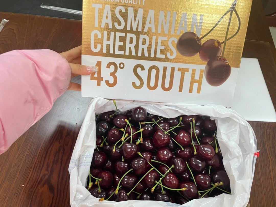 od体育竞技-塔斯马尼亚联阵容齐整,劲旅全力以赴世俱杯争冠