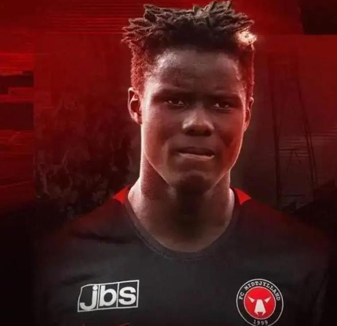 od体育入口-丹麦前锋荣膺最佳射手，引领欧国联赛场烽火连连的简单介绍